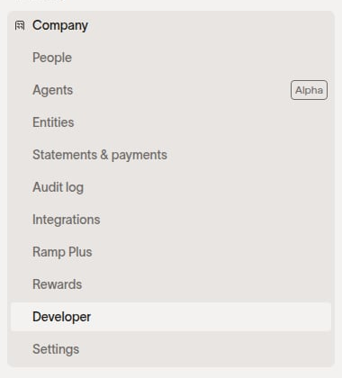 Company navigation with Developer highlighted