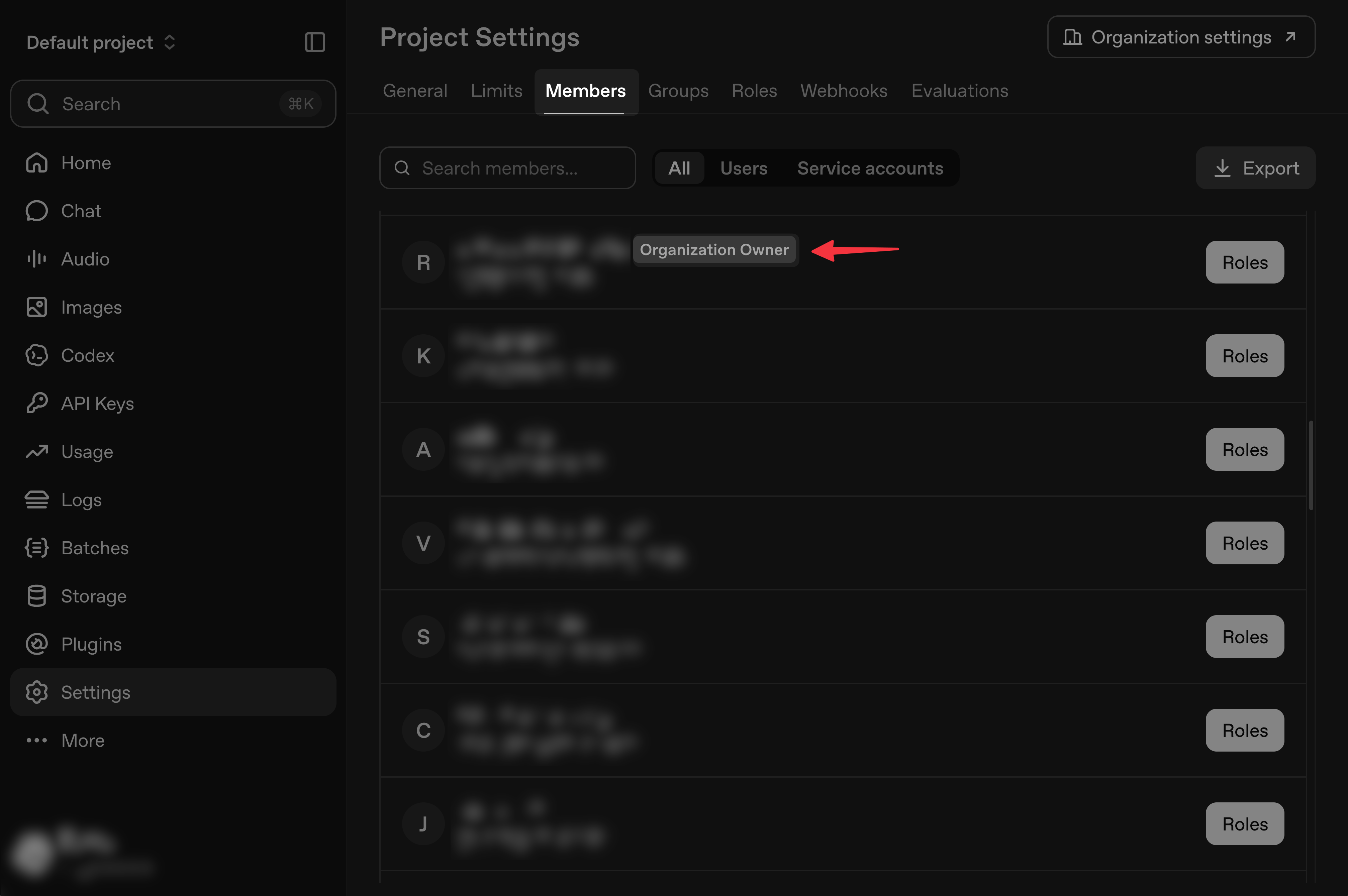 OpenAI Platform Members page showing the Organization Owner label