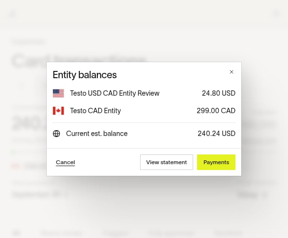 Entity balances displayed in each entity's issuing currency