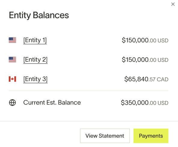 Entity balance and statement displayed in the entity issuing currency