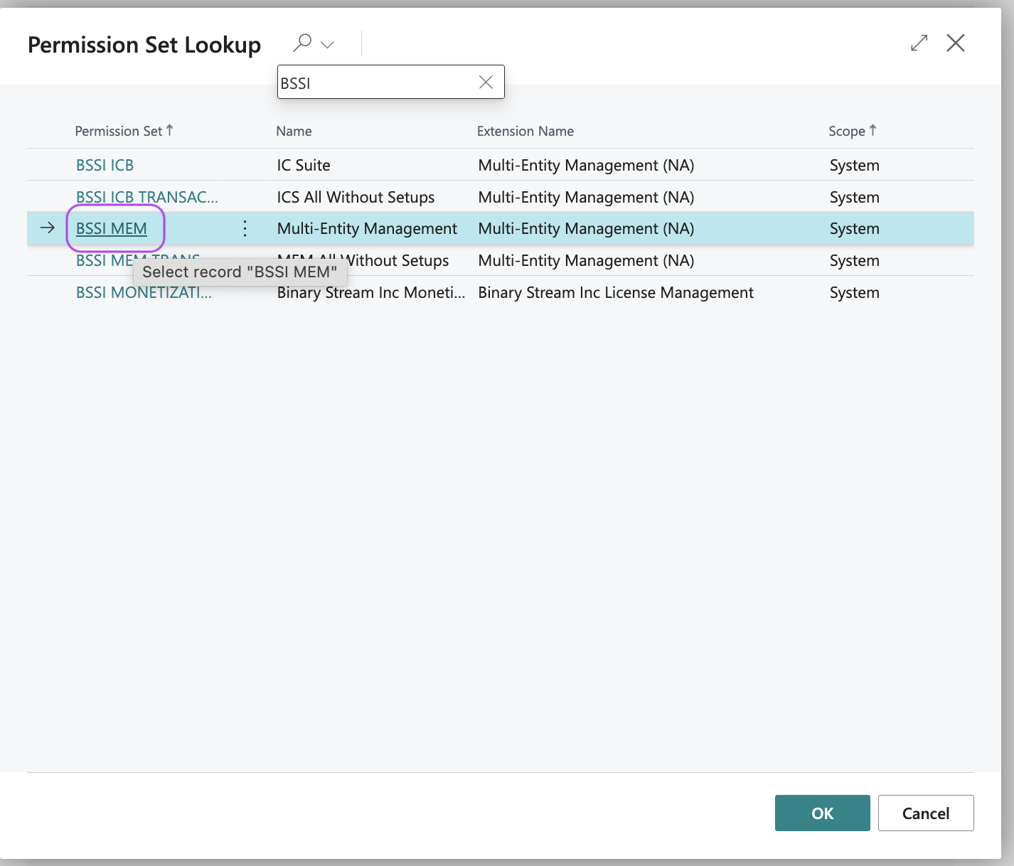 Permission Set Lookup page showing BSSI MEM selected, with options for Multi-Entity Management.