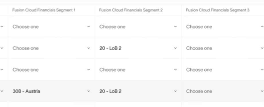 Segment entry form showing dropdowns for three segments with options to choose values, including a specific entry for