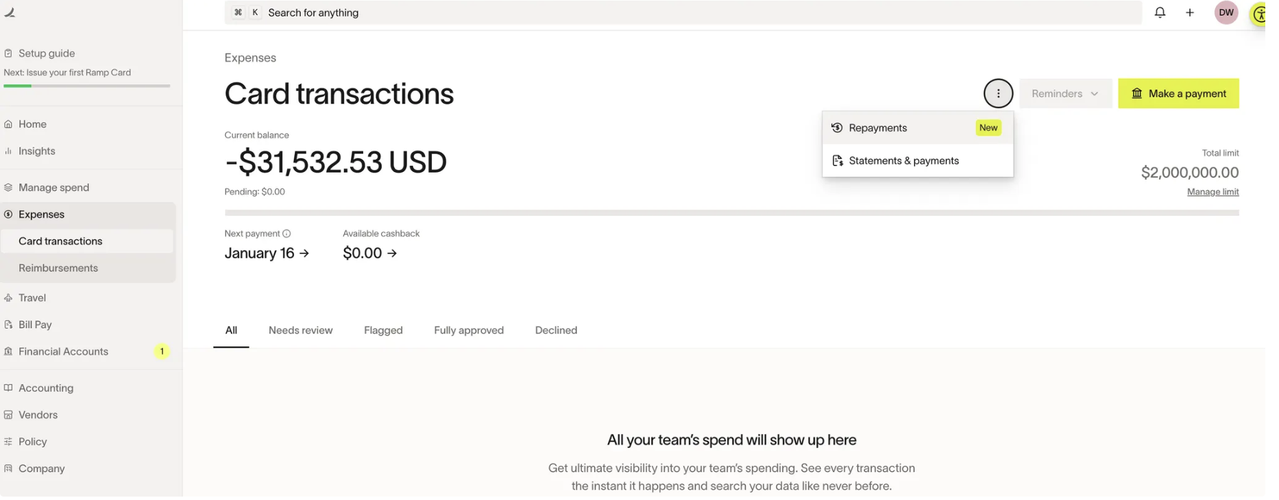Expenses section displaying card transactions with options for repayments and statements.